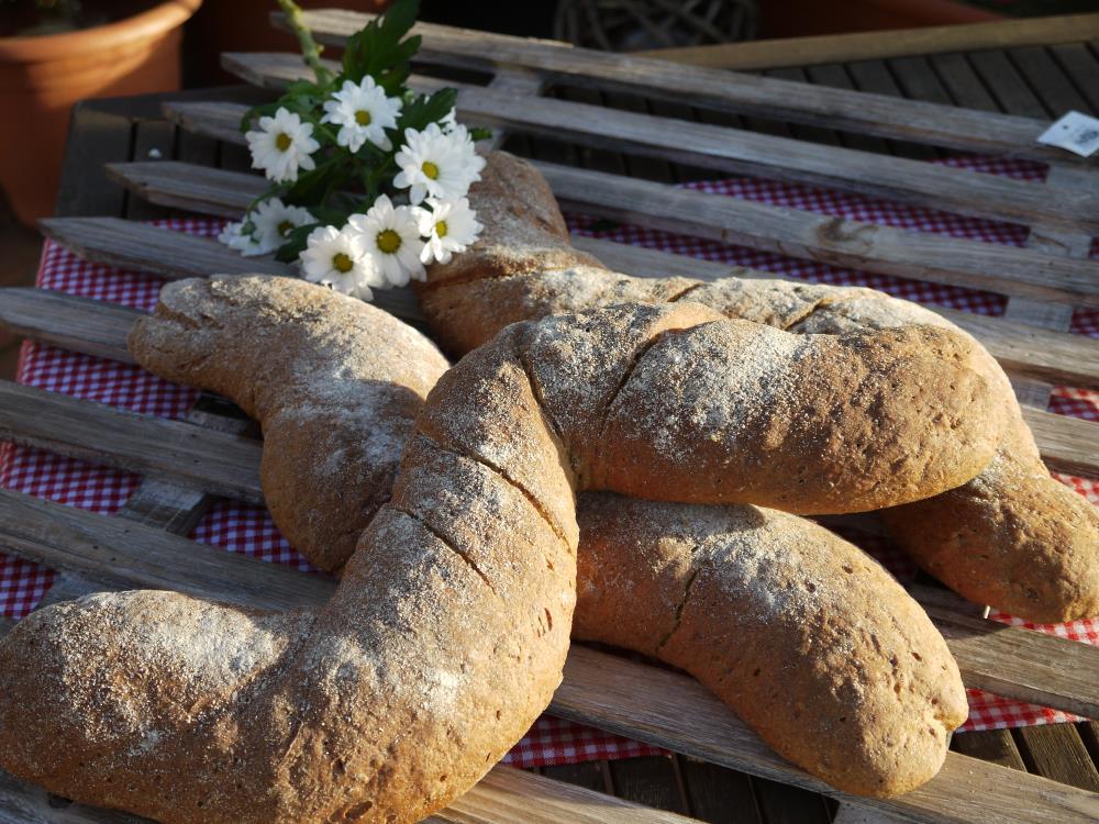 uploaded from |MediaModule-v1| uploaded from |MediaModule-v1|