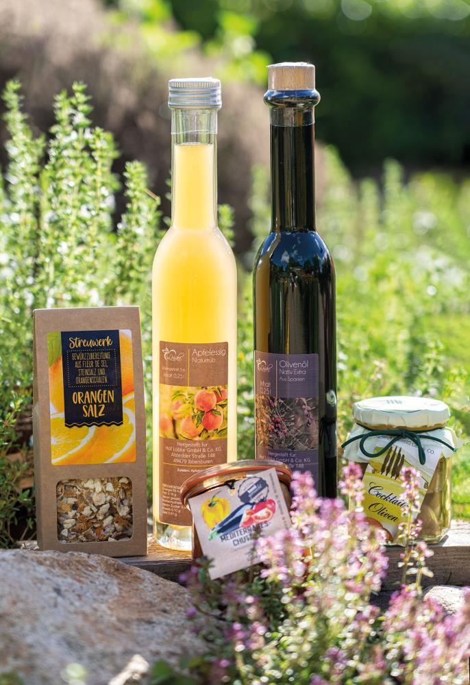 uploaded from |MediaModule-v1|