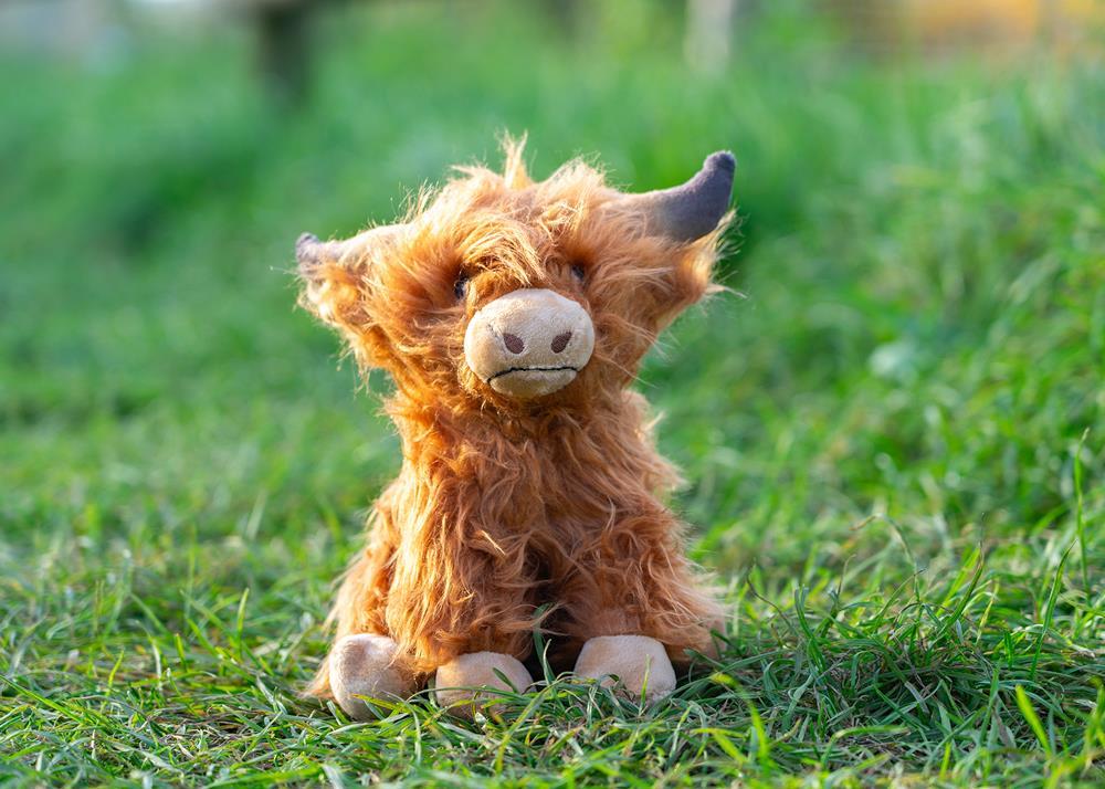 100788_1_Kuscheltier_Highlaender_Oskar.jpg 100788_1_Kuscheltier_Highlaender_Oskar.jpg