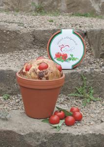 uploaded from |MediaModule-v1|