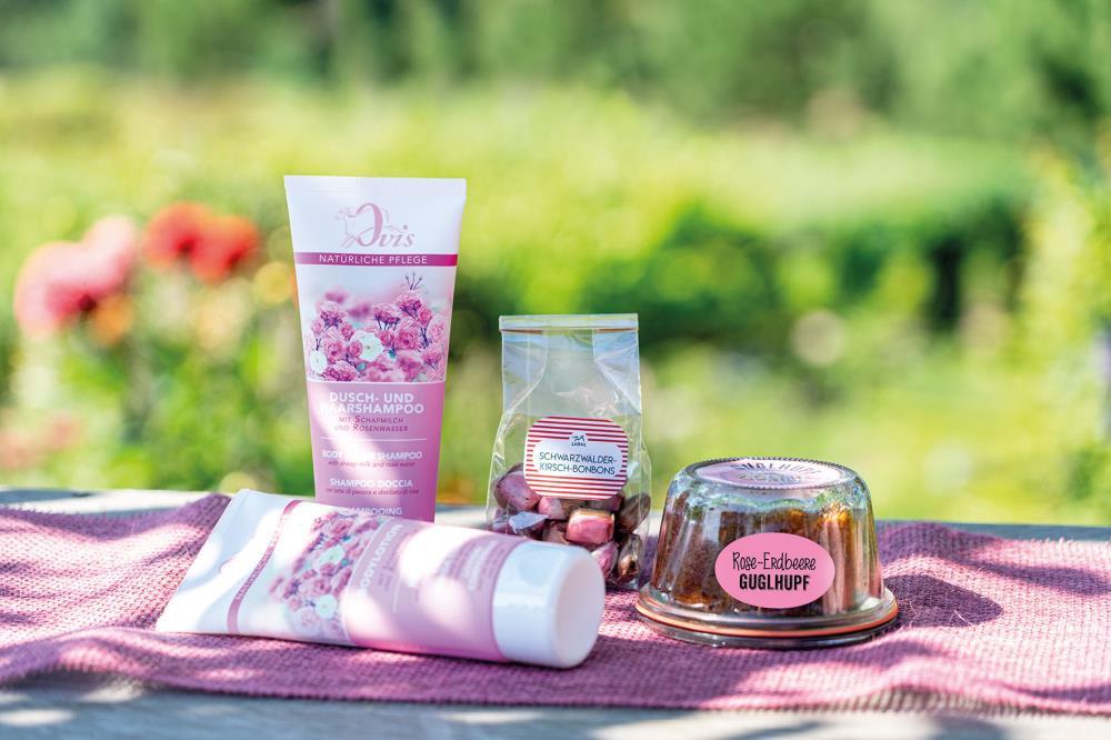 uploaded from |MediaModule-v1|