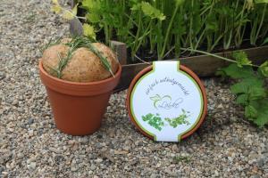 uploaded from |MediaModule-v1|