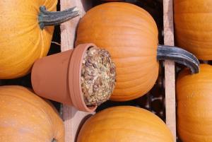 uploaded from |MediaModule-v1| uploaded from |MediaModule-v1|