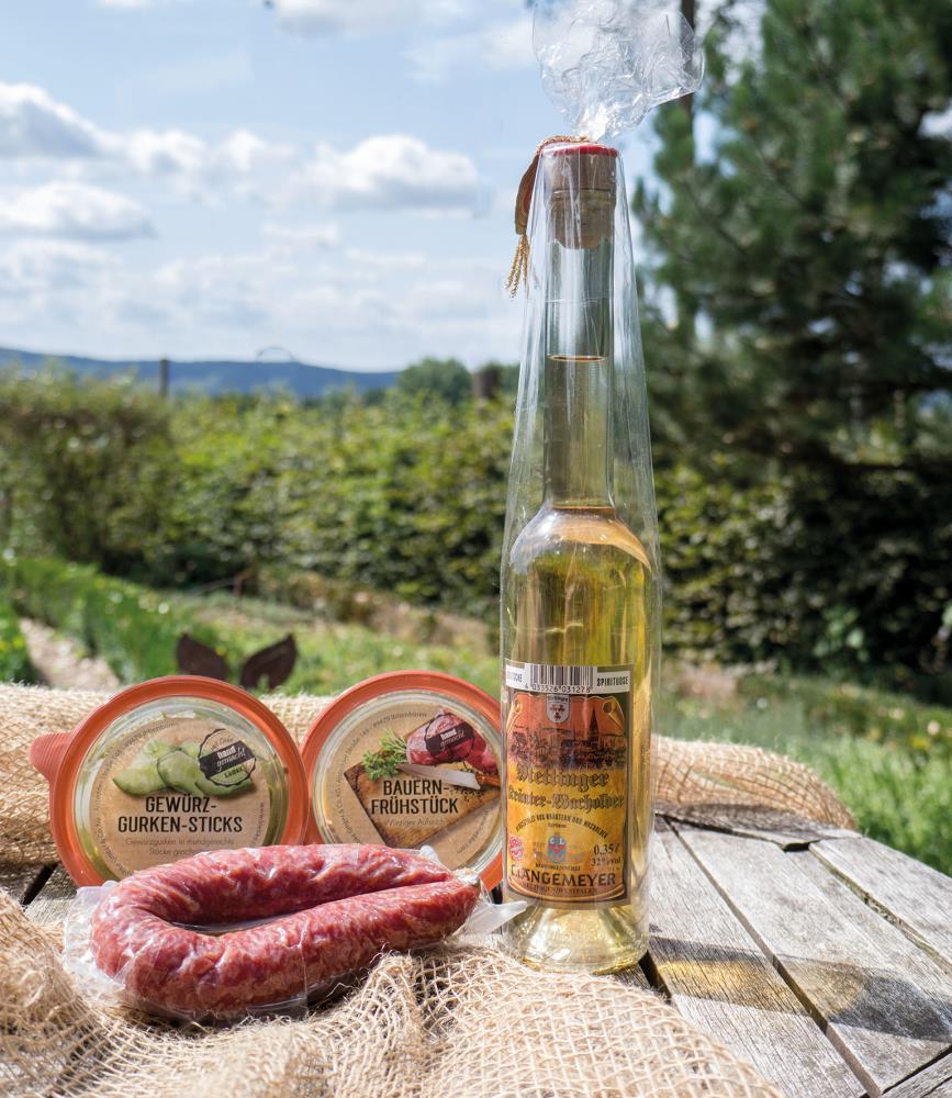 uploaded from |MediaModule-v1|