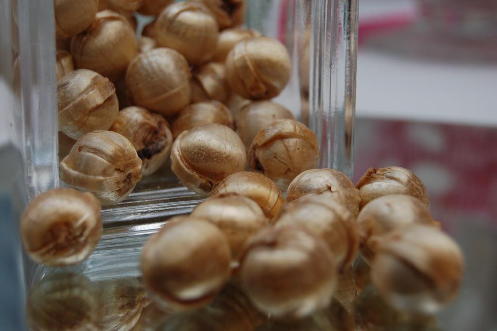 uploaded from |MediaModule-v1|