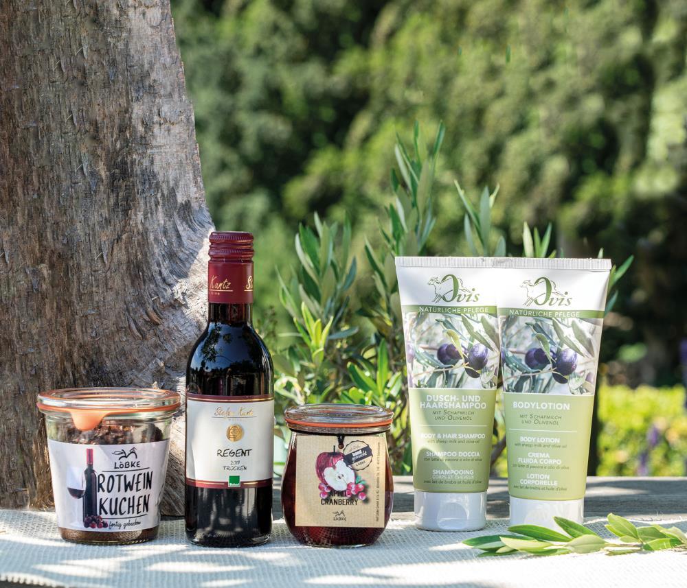 uploaded from |MediaModule-v1| uploaded from |MediaModule-v1|