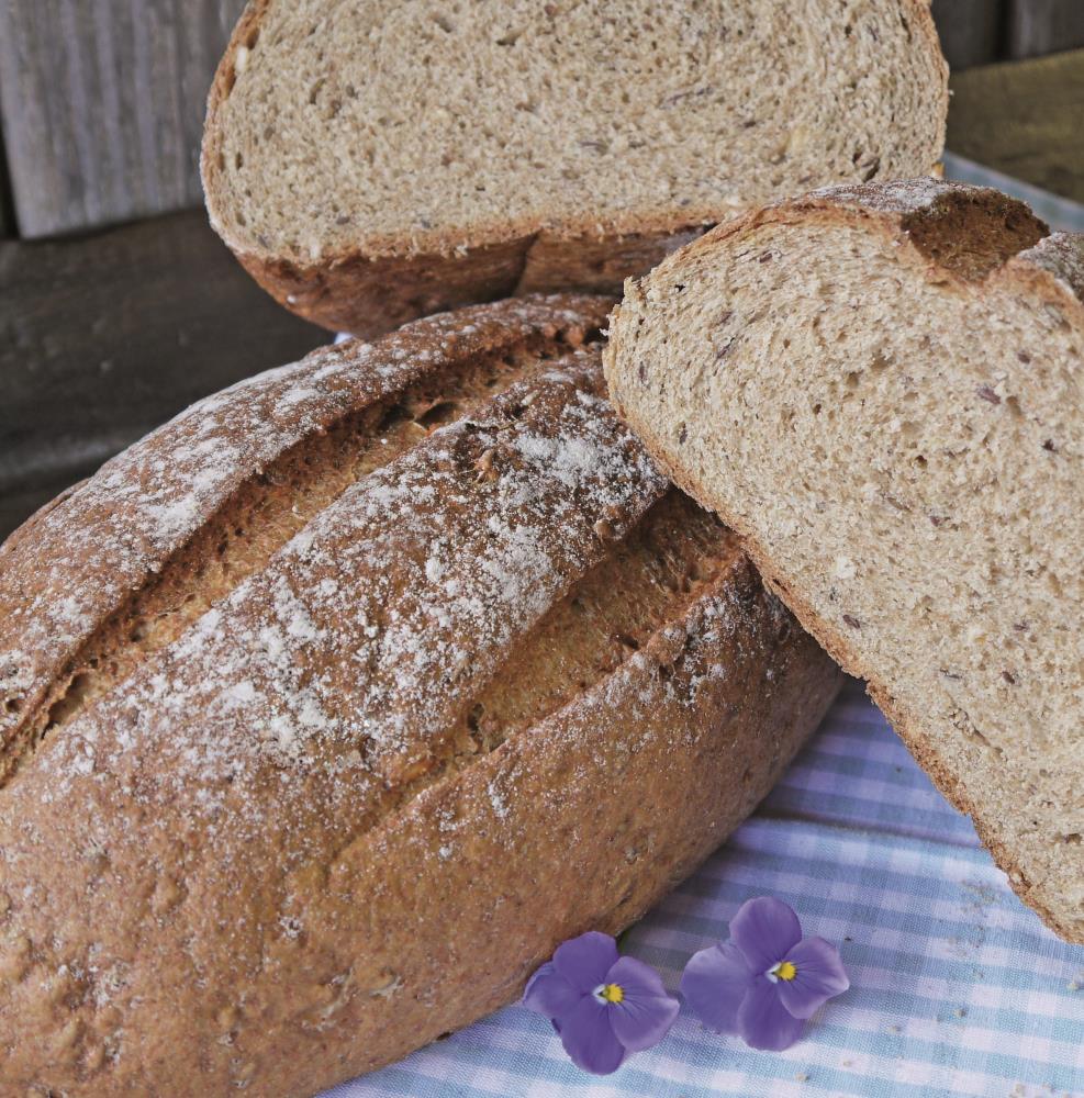 uploaded from |MediaModule-v1|